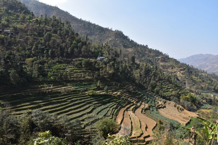 Reisterrassen am Tribhuvan Highway in der Nähe von Naubise