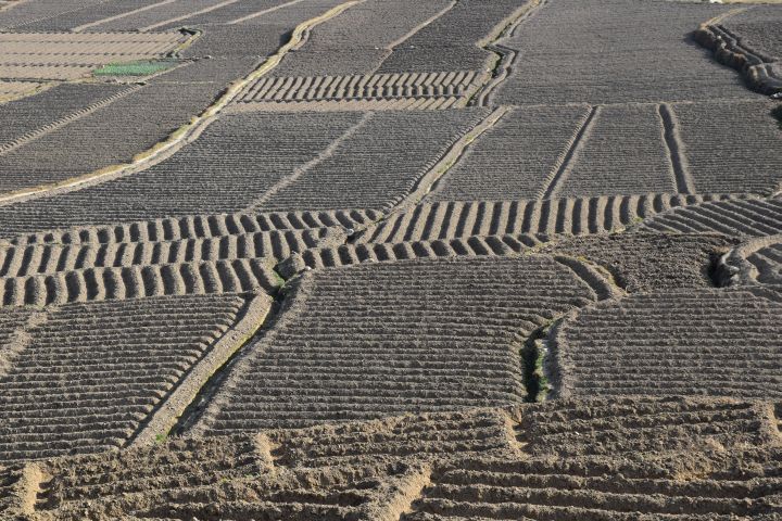 Geometrische Ackerfurchen bei Palung, südwestlich von Kathmandu