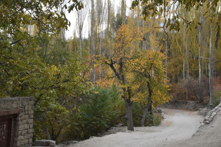 Schmaler Weg, auf dem wir ab zu noch ein Auto kreuzen