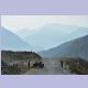 Kleiner Viehtrieb am Strassenrand auf dem Karakorum Highway unterhalb der Raikot Brücke