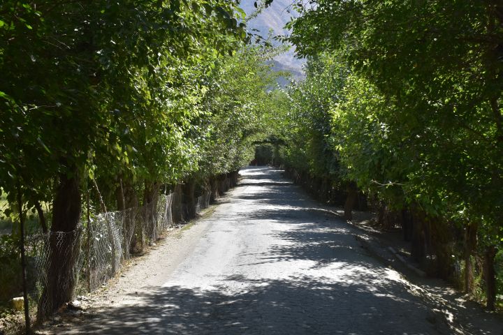 Hauptstrasse durch Zingrogh