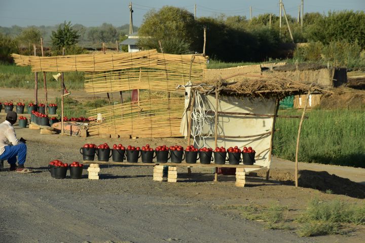 Tomatenverkäufer zwischen Bayramaly und Zahmet