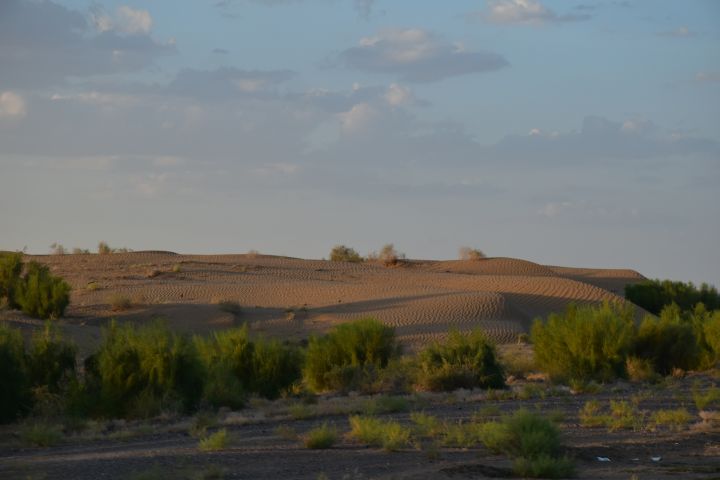 Dünen: Etwas Wüstenfeeling zwischen Bayramaly und Zahmet