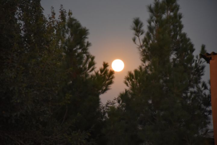 Vollmond am Hochzeitstag