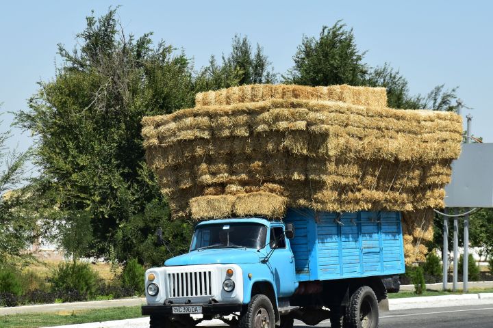 Kleiner Lastwagen mit grosser Ladung Heu