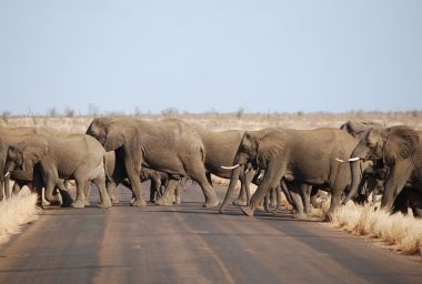 Zu den Reiseberichten Afrika