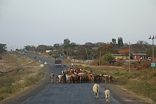 Zum Reisebericht Äthiopien