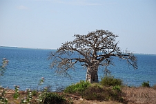 Zum Reisebericht Angola