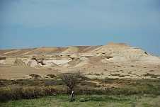 Landschaft bei São João do Sul