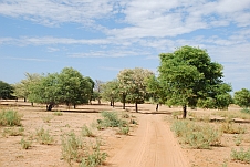 Auf dem Weg nach Namibia zwischen Naulila und Calueque