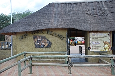 Eingang zum Lion Park