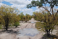 Die Verbindungspiste von Moremi nach Chobe am Khwai Fluss