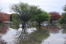 Der Lake Ngami ist ein sonderbar wunderbarer See