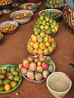 Zum Reisebericht Burkina Faso