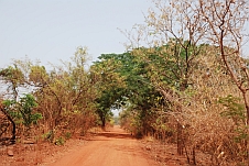 Zum Reisebericht Guinea