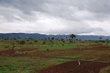 Ackerbau bei Lukala, im Hintergrund hohe Hügelkette