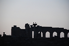 Das Storchennenst auf einer Säule der Ruinen von Volubilis