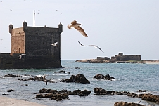 Teil der spanischen Festung in Essaouira