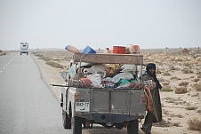 Kameltreiber in der Westsahara