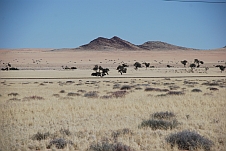 Wüstenhafte Landschaft bei Garub