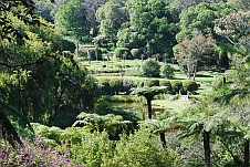 Der botanische Garten von Vumba