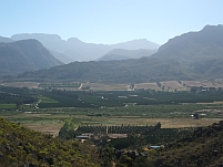 Aussicht über die Citrusplantagen im Olifantstal und die Zedernberge dahinter