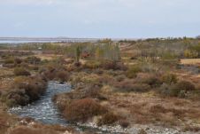 Ein Flüsschen das in der Nähe von Kyzyl-Suu in den Issyk-Köl fliesst