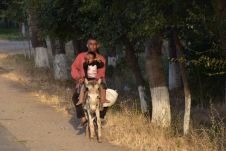 Vater und Sohn reiten auf dem Esel heim