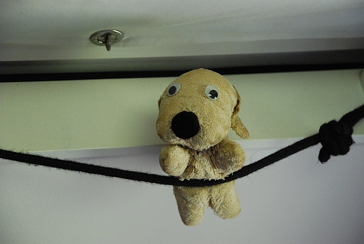 Idefix auf dem Hochseil