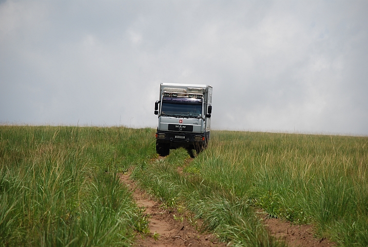 Obelix auf sandigen Pfaden im Léfini-Reservat im Kongo