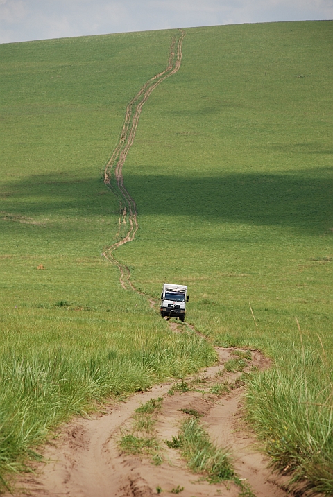 Obelix dachte, der Kongo ist von Regenwald bedeckt... (Léfini-Reservat)
