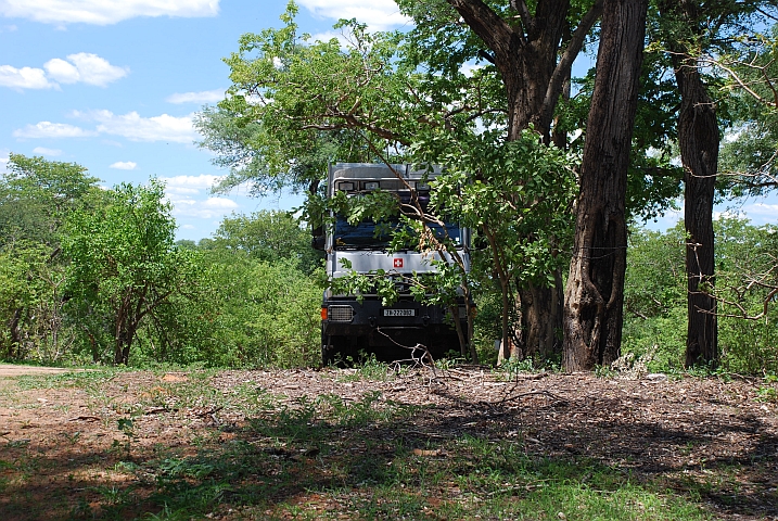 Obelix versteckt sich wie ein Elefant hinter Büschen (Bwabwata Nationalpark, Namibia)