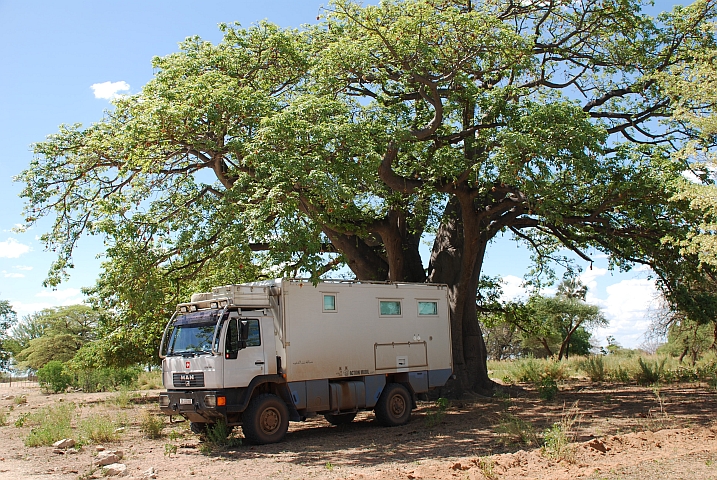 Obelix im Schatten eines Baobab bei Naulila, im Süden Angolas
