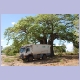 Obelix im Schatten eines Baobab bei Naulila, im Süden Angolas
