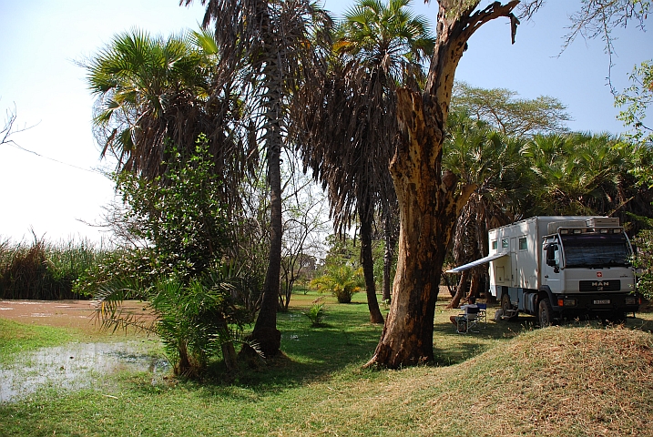 Obelix im Pangani River Camp (Buiko, Tansania)