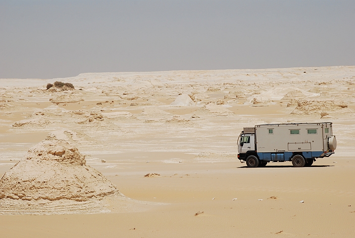 ... und Wildschweine sind wieder einmal weit und breit nicht in Sicht (Obelix, Weisse Wüste, Ägypten)