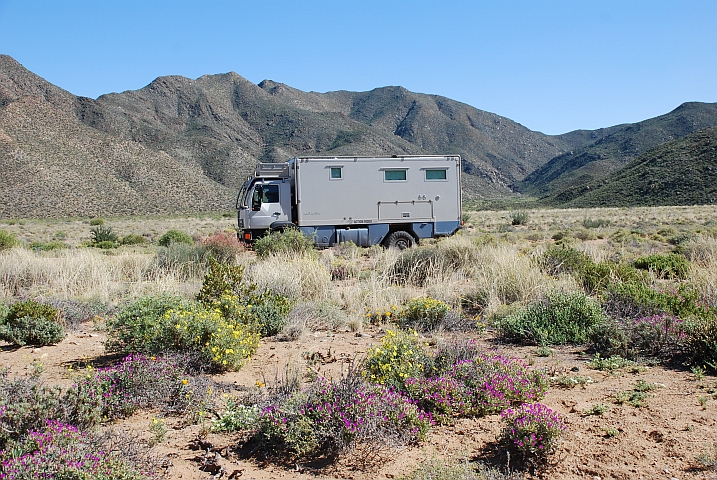 Obelix mit verschiedenfarbig blühenden Büschen (Namuskluft, Rosh Pinah, Namibia)