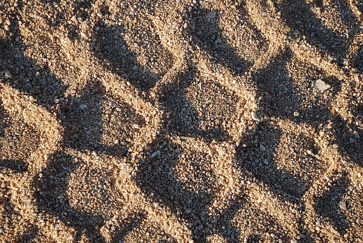 Obelix Spuren, grad so eindrücklich wie die eines Löwen