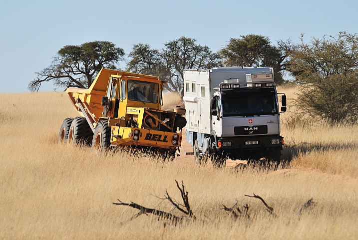 Baustellenkipper umfährt Obelix im grossen Bogen (Kgalagadi Nationalpark, Südafrika)