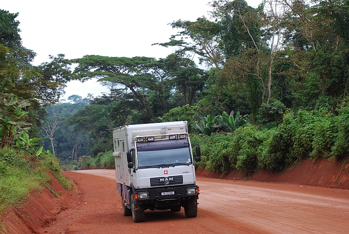 Obelix im Urwald (Kamerun)
